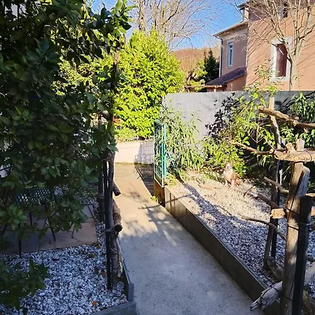 Oasis
